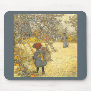 Apple skörd vid den Carl Larsson Musmatta