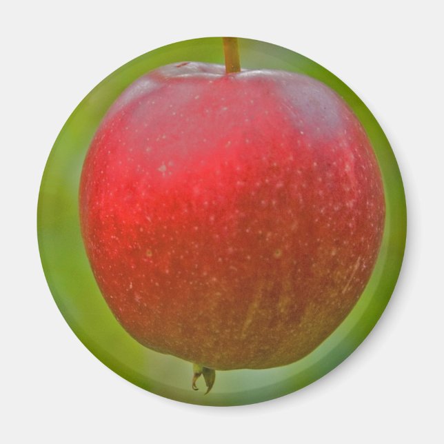 Apple Summer Red Magnet (Framsidan)