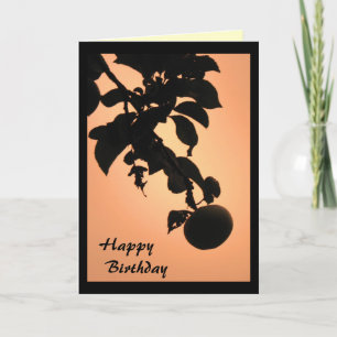 Apple Sunset Birthday Kort