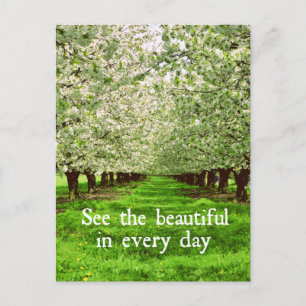 Apple Träd Blommar med inspirationsoffert Vykort
