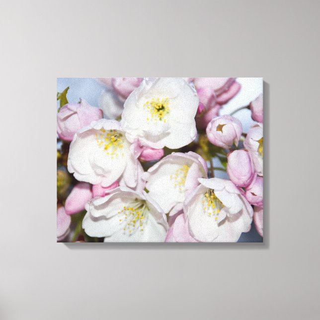 Apple Träd Blooms på ett fotoblock av Blå himmel Canvastryck (Framsida)