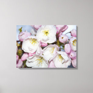 Apple Träd Blooms på ett fotoblock av Blå himmel Canvastryck