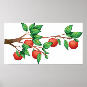 Apple Träd Gren Poster