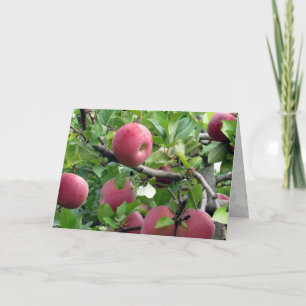 Apple Träd-hälsningskort Kort