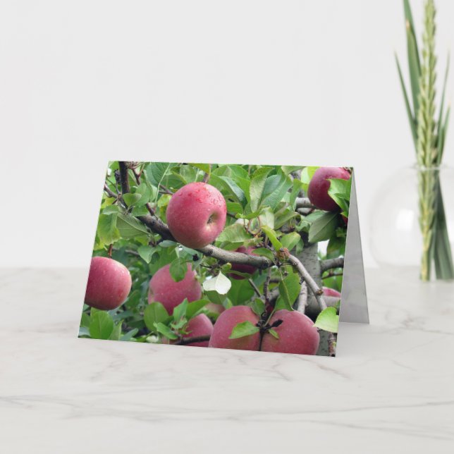 Apple Träd-hälsningskort Kort (Framsida)