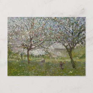 Äpple Träd i blomman Vykort