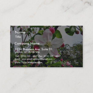 Apple träd i blommar visitkort