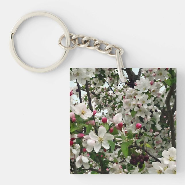Äpple Träd i Bloom (Framsidan)