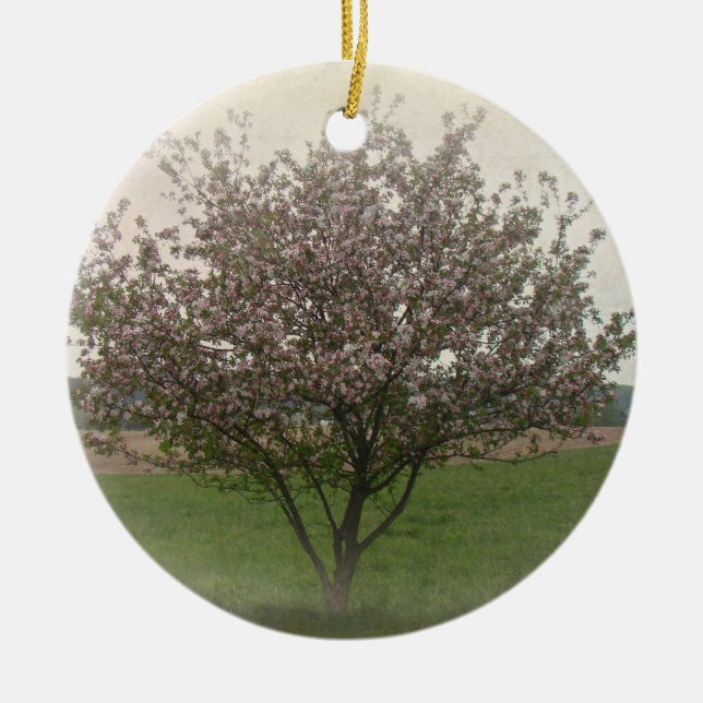 Apple Träd i Bloom Julgransprydnad Keramik (Framsidan)