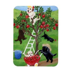 Apple träd Labradors Magnet