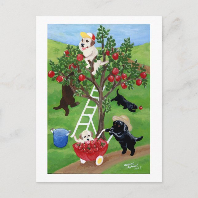 Apple Träd Labradors Vykort (Framsida)