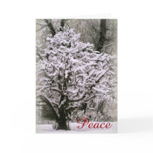 Äpple träd täckt av snö