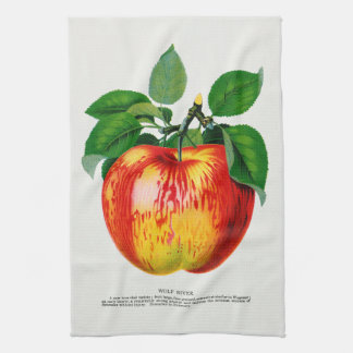 Apple Vintage Illustration Kitchen Towel Kökshandduk