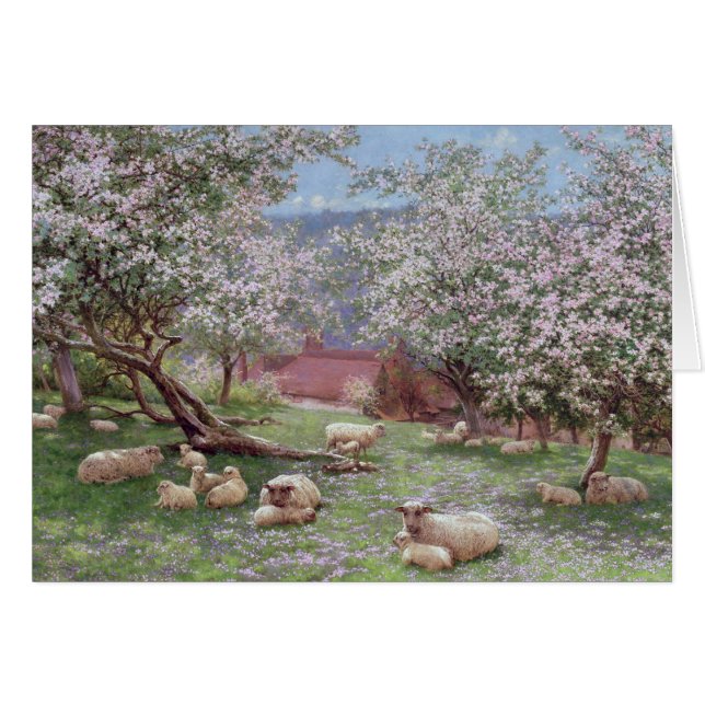 Appleblossom Hälsningskort (Framsidan Horizontal)