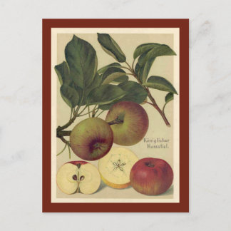 Äpplen Botaniska Vintagen Vykort