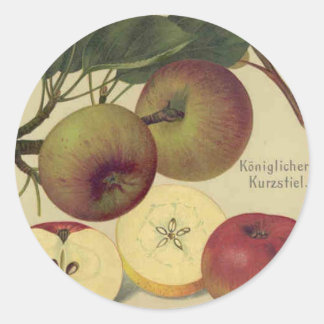 Äpplen Fruktillustration av botaniska Vintagar Runt Klistermärke
