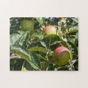 Äpplen mogna på ett äpple träd pussel