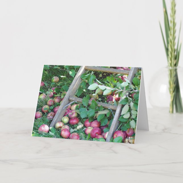 Äpplen på en höstdag kort (Framsida)