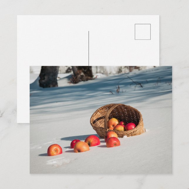 Äpplen på snön vykort (Fram/baksida)