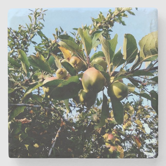 Äpplen Stenunderlägg (Framsidan)