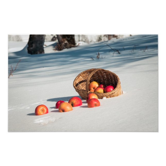 Äpplen vid snö fototryck (Framsidan)
