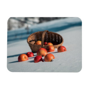 Äpplen vid snö magnet