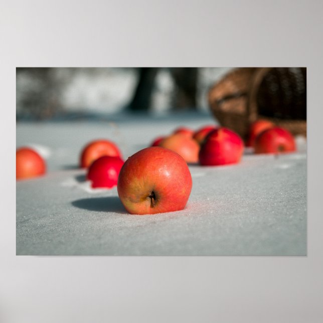 Äpplen vid snö poster (Framsidan)