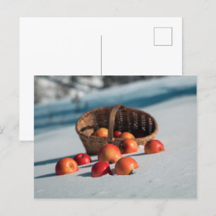 Äpplen vid snö vykort