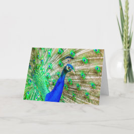 Äppling av husdjur kort