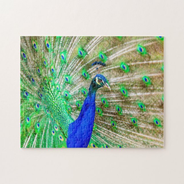 Äppling av husdjur pussel (Horisontell)