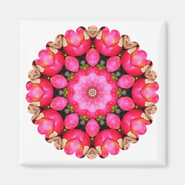 ÄPPLINGAR MAGNET (Framsidan)