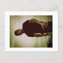 Approachable Wolf Post Card Print Vykort