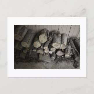 Approachable Wolf Post Card Print Vykort