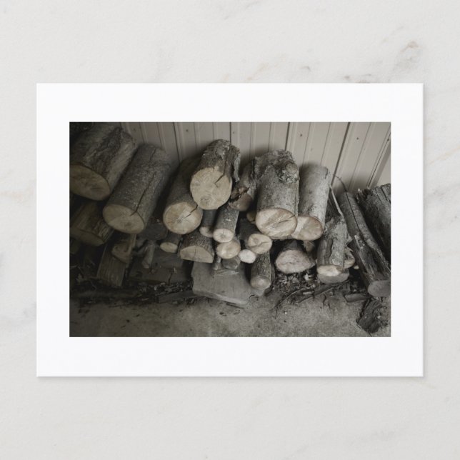 Approachable Wolf Post Card Print Vykort (Framsida)