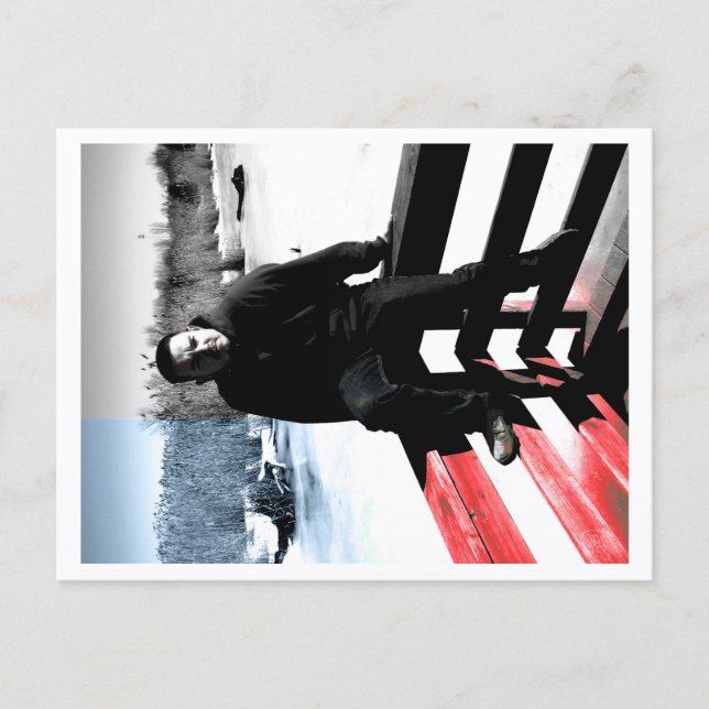 Approachable Wolf Post Card Print Vykort (Framsida)