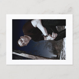 Approachable Wolf Post Card Print Vykort