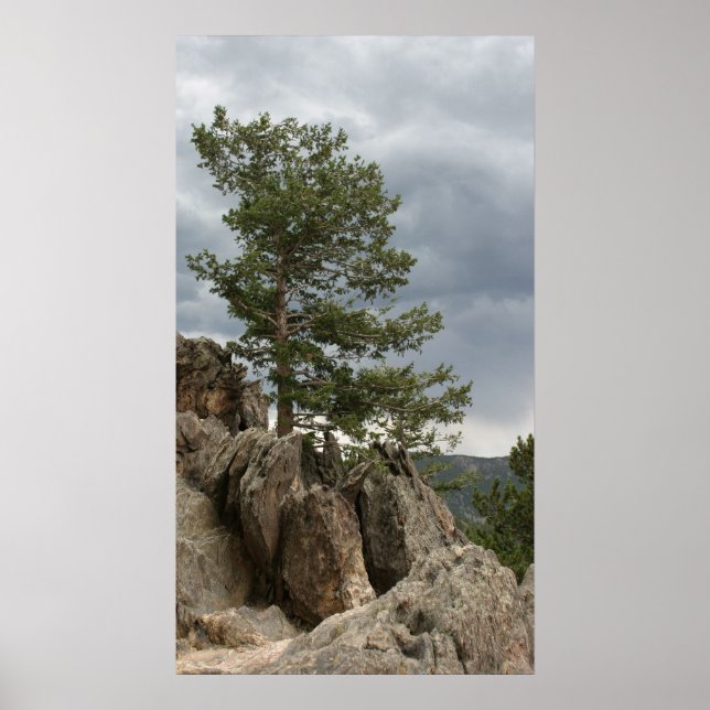 Approaching Storm Poster (Framsidan)