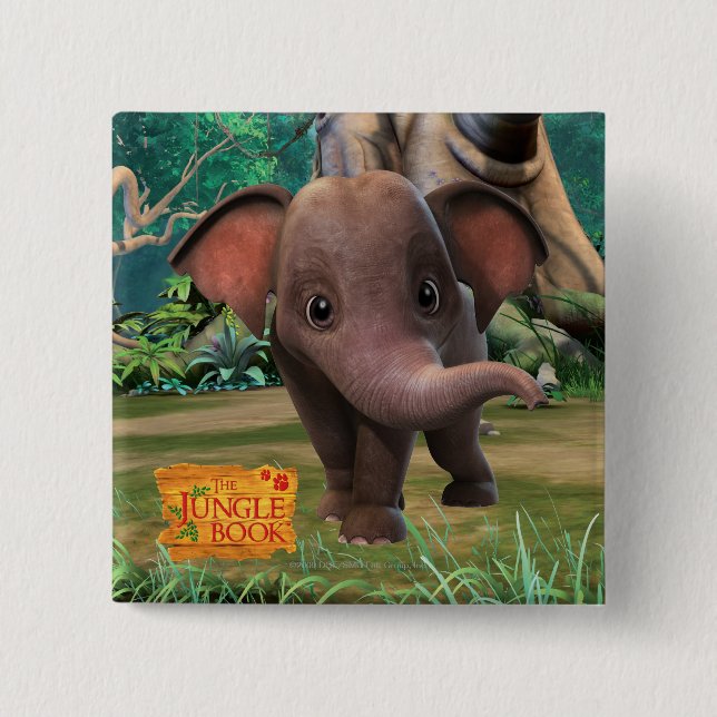 Appu Knapp (Framsida)