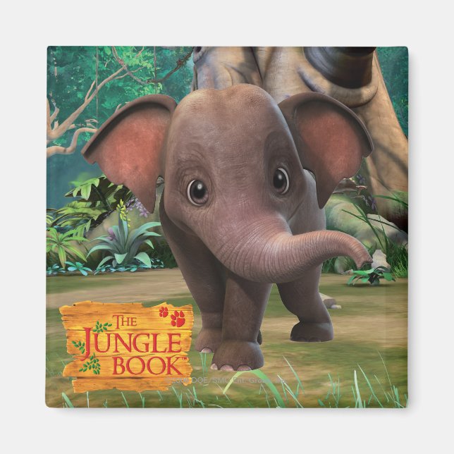 Appu Magnet (Framsidan)