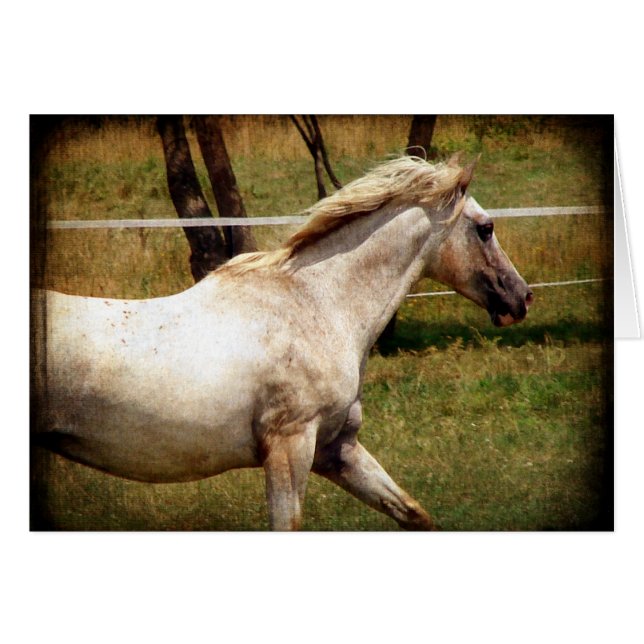 Appy Hälsningskort (Framsidan Horizontal)