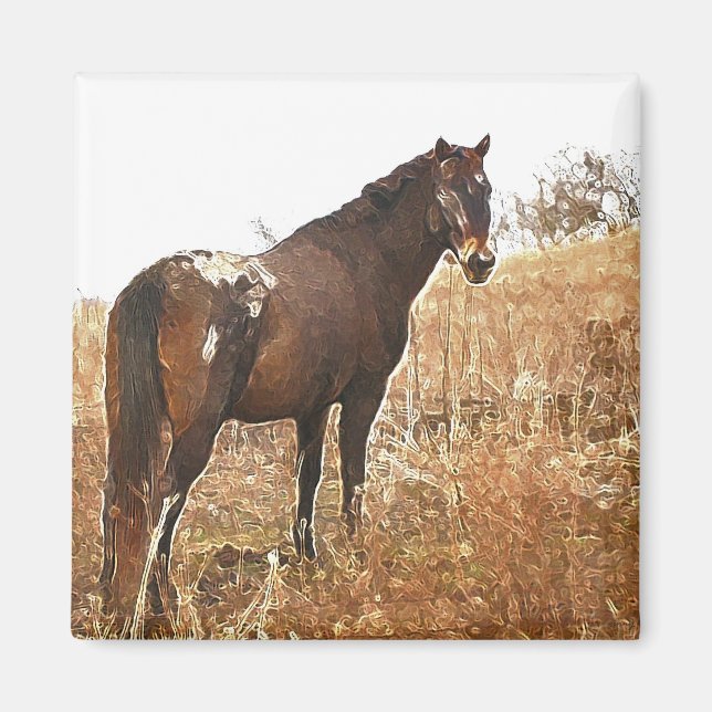 Appy Magnet (Framsidan)