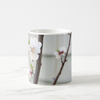 Apricot Blommar Kaffemugg