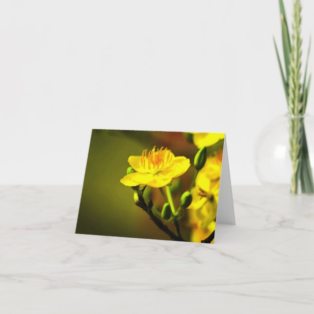 Apricot Blommar Tillfällen Notecard Tack Kort (Framsida)