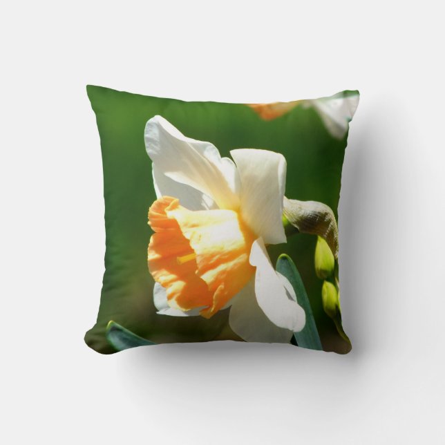 Apricot Daffodil Dekorativ kudde (Framsida)