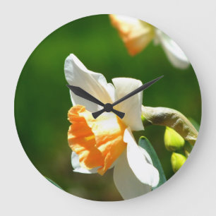 Apricot Daffodil Wall Clock Stor Klocka