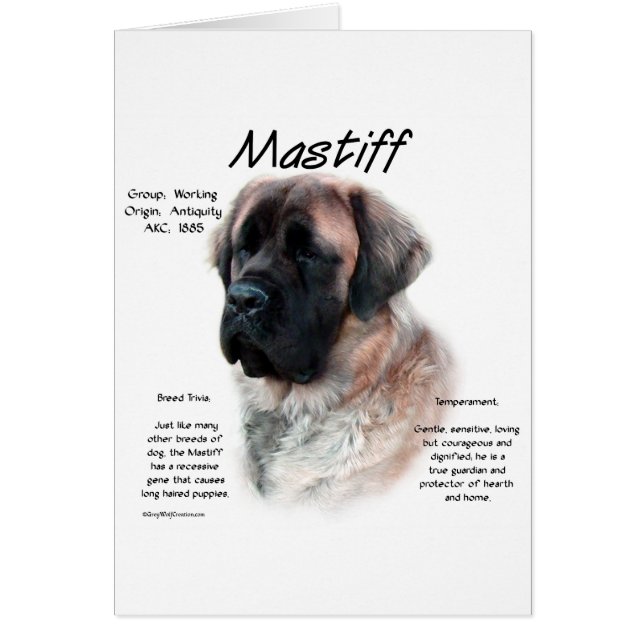 Apricot Fluffy Mastiff Historik Hälsningskort (Framsidan)