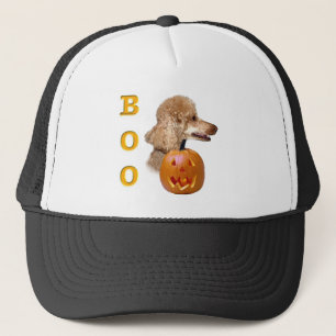 Apricot Jackat Pudel Boo Truckerkeps