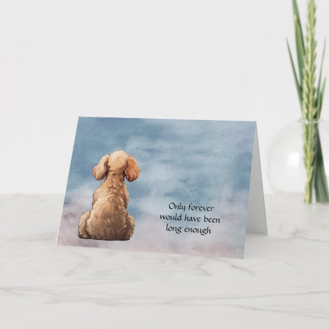 Apricot Leksak Pudel Hund Sympathy Card Helgkort (Framsida)