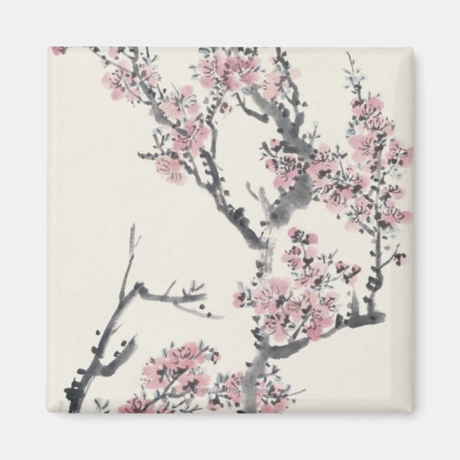 Apricot Magnet (Framsidan)