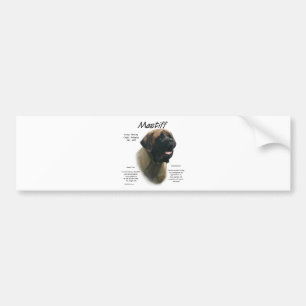 Apricot Mastiff Historik Bildekal